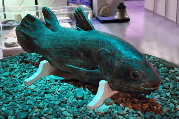 PERM, RUSSIA - 4 APR 2015: Pesce preistorico nel Museo del Territorio — Foto Stock