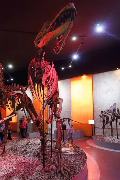 페름, 러시아-2015 년 4 월 4 일: 해골 illumina와 공룡 — 스톡 사진