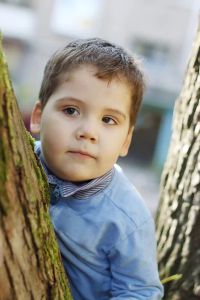 Lille flot dreng i blå står blandt træstammer på solrig da - Stock-foto