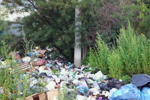 Tempat pembuangan sampah di antara pohon-pohon hijau dan parit pada hari musim panas — Stok Foto
