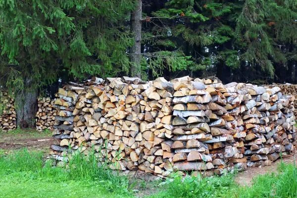 Closeup spousta skládané březového dřeva pod stromy v letním dni — Stock fotografie