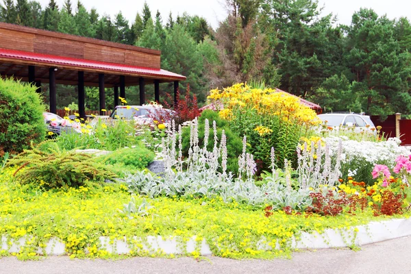 Aiuola con molti fiori alti gialli, bianchi, rosa e rossi in — Foto Stock