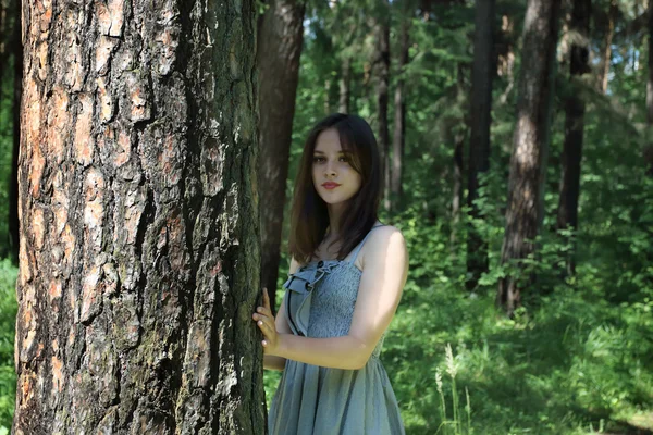 Hermosa chica con el pelo largo en el vestido de pie cerca del árbol en — Foto de Stock