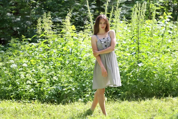 Schöne Mädchen in Kleid steht im Wald inmitten von hohem Gras und tr — Stockfoto