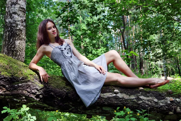 Девочка в платье с длинными волосами лежит на упавшем дереве в лесу — стоковое фото