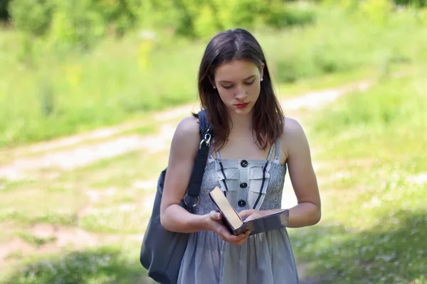 Schöne Mädchen in Kleid zu Fuß auf Waldlichtung lesen Buch auf sonnigen s — Stockfoto