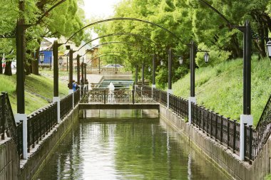 Yeşil ağaçlar, kanal, sahte br ile park düğün fotoğraf çekimi