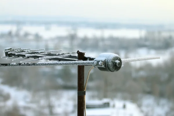 Closeup of TV antenna covered with frost on winter day — Stock Photo, Image