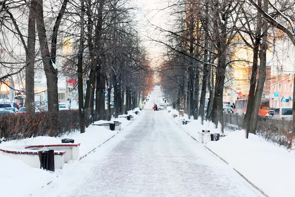 Empty Avenue with benches and trees in snow on cold winter day — Stock Photo, Image