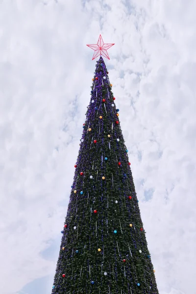 Árvore de Natal mais alta decorada com estrela no topo do inverno da — Fotografia de Stock