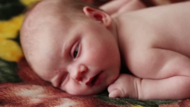 Weinig schattige baby ligt en kijkt rond op pluizig deken — Stockvideo