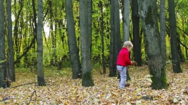 Kırmızı küçük çocuk sonbahar parkısarı kuru yaprakları atar