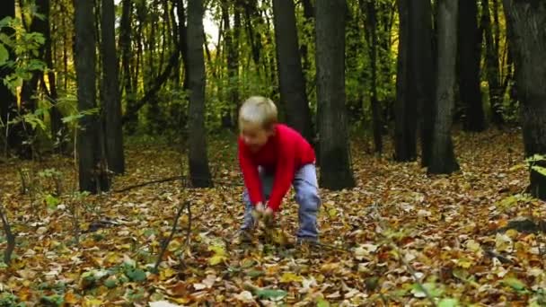 Petit garçon en rouge jette des feuilles sèches dans le parc d'automne 