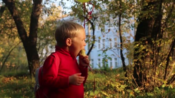 Petit garçon avec pomme ballon dans le parc le jour d'automne 