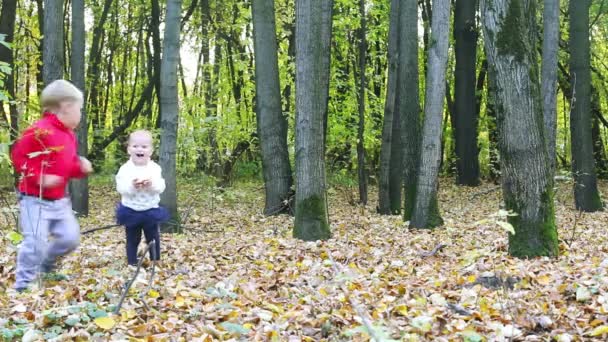 Niño y niña corren y se divierten en el parque de otoño — Vídeos de Stock