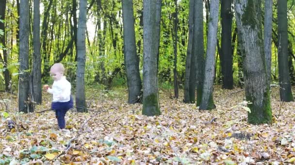 Kleines Mädchen im Rock mit Apfelspaziergängen im Herbstpark — Stockvideo