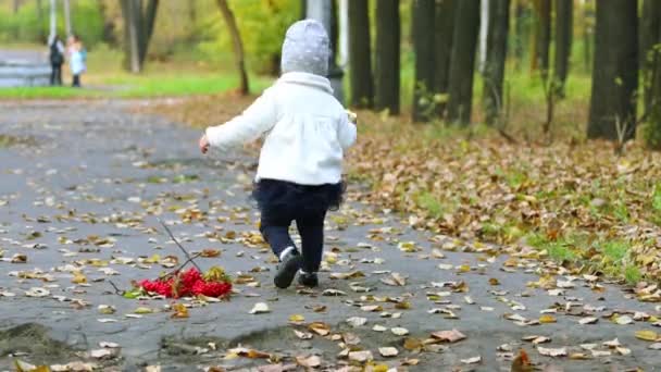 Rücken eines kleinen Mädchens im Rock beim Spazierengehen im Herbstpark — Stockvideo