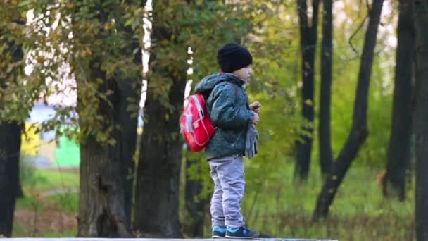 Little boy in cap and with backpack walks in autumn park — Stock Video