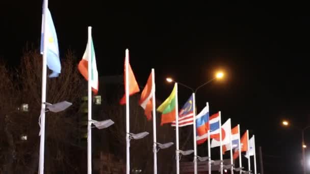 Drapeaux de différents pays sur le vent la nuit d'hiver en ville — Video