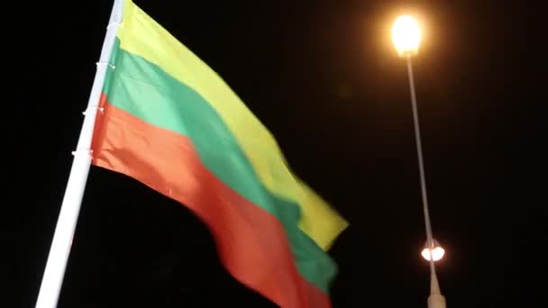 Litvanya bayraklarıyla karanlık gece Rüzgar üzerinde aydınlatma — Stok video