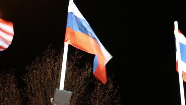 Aydınlatma ve Rüzgar karanlık gece ağaçlarda ile Rusya'nın bayrak — Stok video