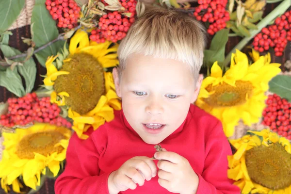 Little handsome boy lies among sunfloweers and berries — Stock Photo, Image