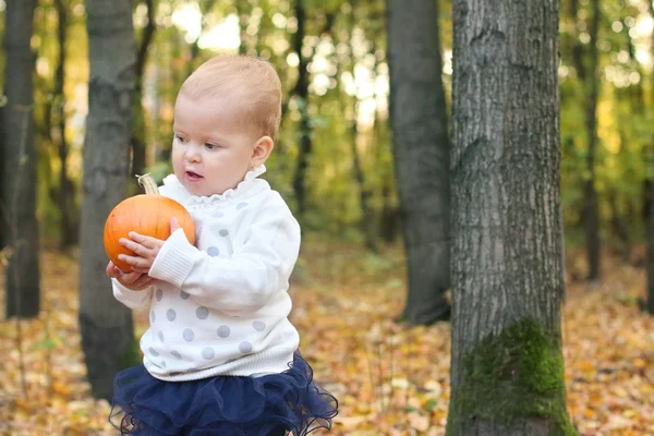 Little cute girl in skirt holds orange pumpkin — Stock Photo, Image