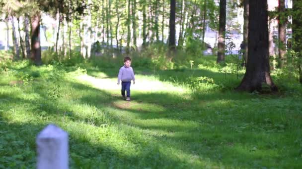 Schöner kleiner Junge spaziert bei sonnigem Tag im Sommerpark — Stockvideo