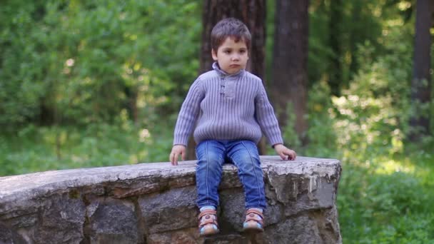 Knappe kleine jongen zit op stenen muur in zomer park en denkt — Stockvideo