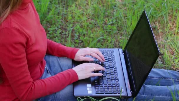 Manos de niña escribiendo en el ordenador portátil y sentado en la hierba — Vídeos de Stock