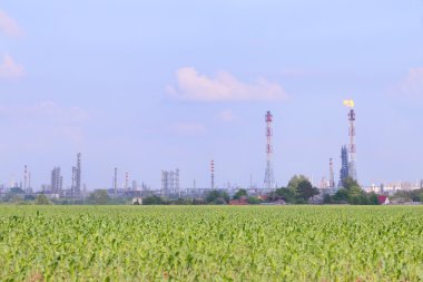 Ufukta Mısır ve petrol rafinerisi ile parlak yeşil alan