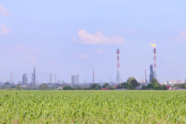 Hellgrünes Feld mit Mais und Ölraffinerie am Horizont — Stockfoto