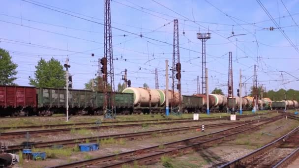 Treno merci corse su ferrovia in giorno d'estate contro il cielo blu — Video Stock