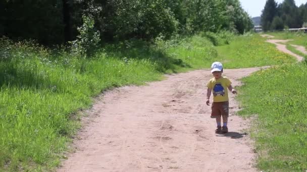 Kleiner Junge spaziert an sonnigem Sommertag auf Waldweg mitten im grünen Gras — Stockvideo