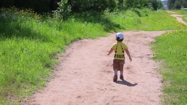 Achterkant jongetje gaande bospad onder groen gras in zonnige zomerdag — Stockvideo