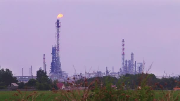 Llamarada de gas alto de la planta de refinería cerca del campo verde en el día nublado — Vídeo de stock