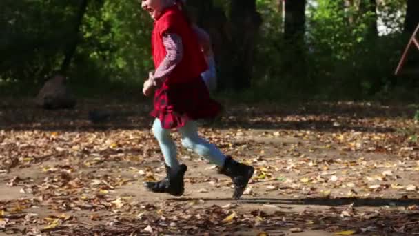 Kleines Mädchen und Junge rennen Tauben im Herbst hinterher — Stockvideo