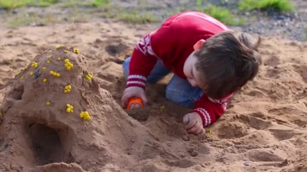 Joyeux petit garçon joue avec la voiture jouet dans le sable le jour d'été — Video