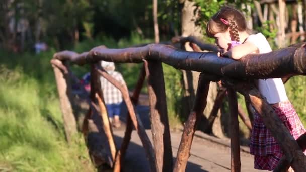 Niña mira desde hermoso puente de madera en el parque — Vídeo de stock