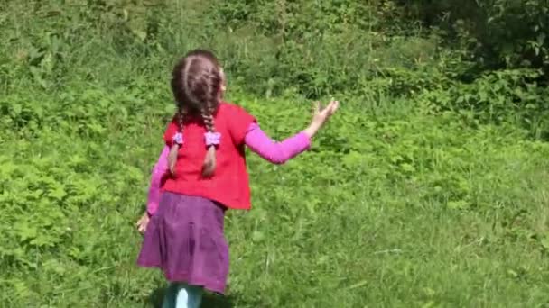 Petite fille mignonne jouant sur l'herbe verte avec boule orange — Video