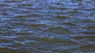 Dalgalanma görünümü Nehri'nin su kadar yaz gününde kapatın