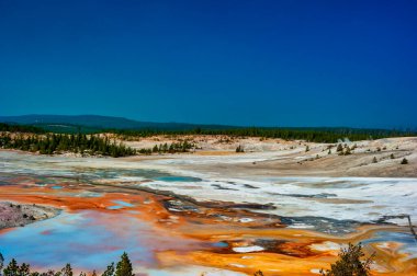 Norris Geyser Havzası 'ndaki Porselen Havzası' ndaki jeotermal havuz yolu.