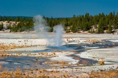 Norris Geyser Havzası 'ndaki Porselen Havzası' ndaki jeotermal havuz yolu.
