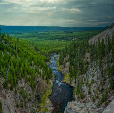 Gibbon Falls 'dan ABD' deki Yellowstone Ulusal Parkı 'na.