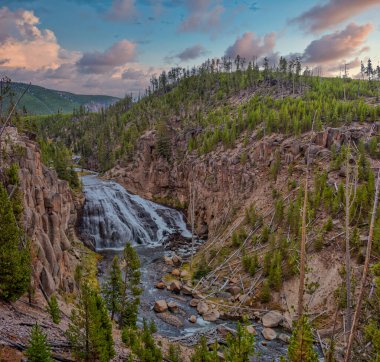 Gibbon Falls, Wyoming 'deki Yellowstone Ulusal Parkı' nda. 