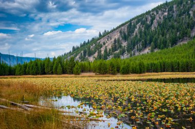 Ağaçların ve tepelerin yansımalarıyla güzel bir dağ gölü. Sakin ve sakin. Yüksek kalite fotoğraf