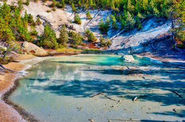 Yellowstone Ulusal Parkı 'ndaki Norris Gayzer Havzasında Renkli Bahar. Yüksek kalite fotoğraf