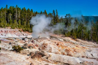 Yellowstone Ulusal Parkı 'ndaki ölü çam ağaçlarıyla çevrili termal bir kaynaktan buhar yükseliyor. Yüksek kalite fotoğraf