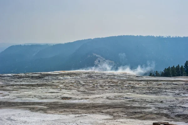 Hot Springs Terraces Overlooking Mammoth Hot Springs Yellowstone National Park — Stock Photo, Image