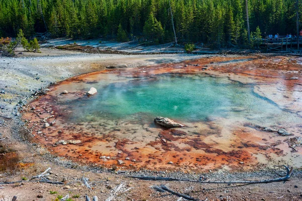 Source Thermale Azur Profond Dans Parc National Yellowstone Photo Haute — Photo